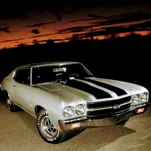 Meet your Posher, Moose